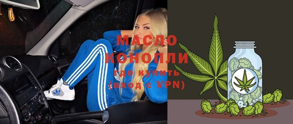 индика Арсеньев