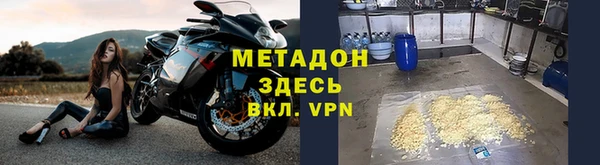 индика Арсеньев