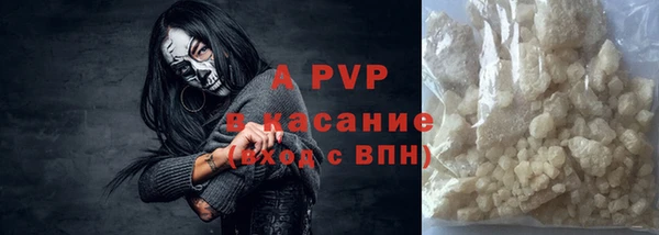 индика Арсеньев