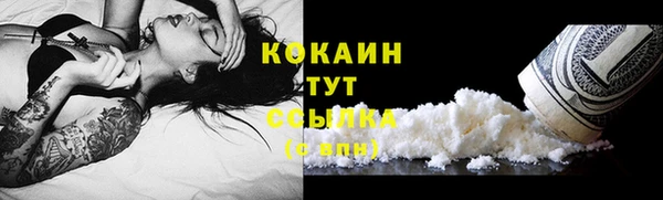 индика Арсеньев