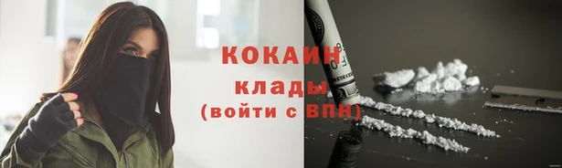 индика Арсеньев