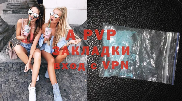 индика Арсеньев