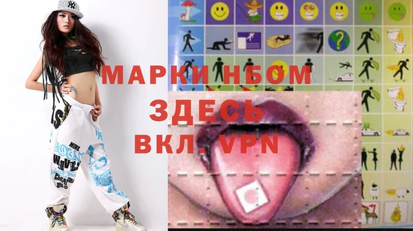 индика Арсеньев